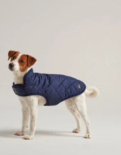 Joules - Navy Quilted Dog Coat