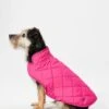 Joules - Raspberry Quilted Dog Coat