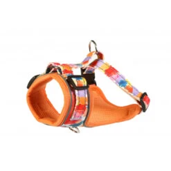 Doodlebone Adjustable Airmesh Dog Harness