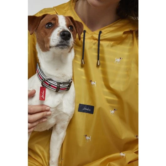 Joules - Coastal Dog Collar - Red Stripe - Image 7