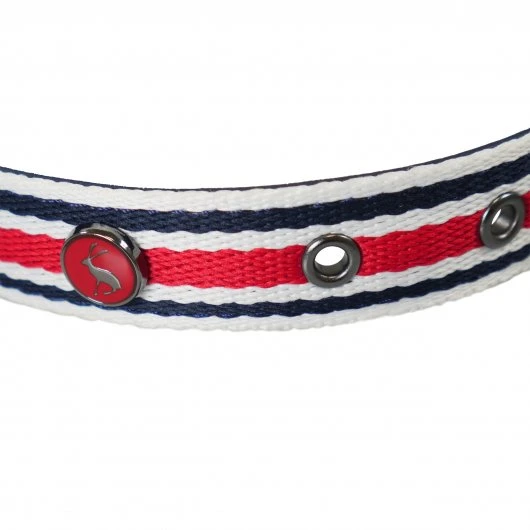 Joules - Coastal Dog Collar - Red Stripe - Image 3