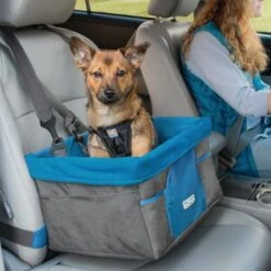 Kurgo - Dog Booster Car Seat - Grey/Coastal Blue