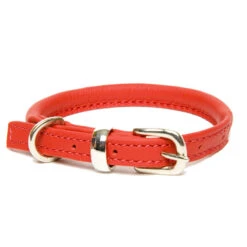 Dogs & Horses - Rolled Leather Dog Collar - Red