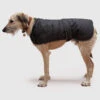 Danish Design - Black Harness Dog Coat