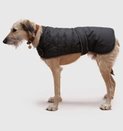Danish Design - Black Harness Dog Coat