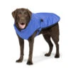 Danish Design - Blue Sports Luxe Dog Coat