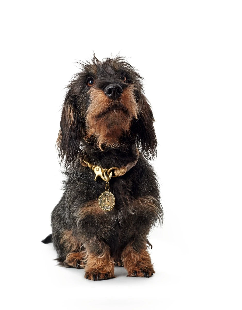 Hunter - List Rope Collar – Beige - Image 3