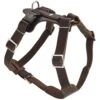 Hunter Harness Aalborg Dark Brown