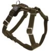 Hunter Harness Aalborg Olive