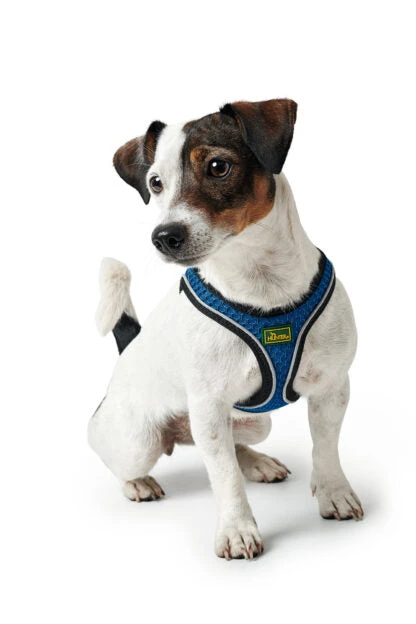 Hunter Hilo Comfort Harness – Blue - Image 3