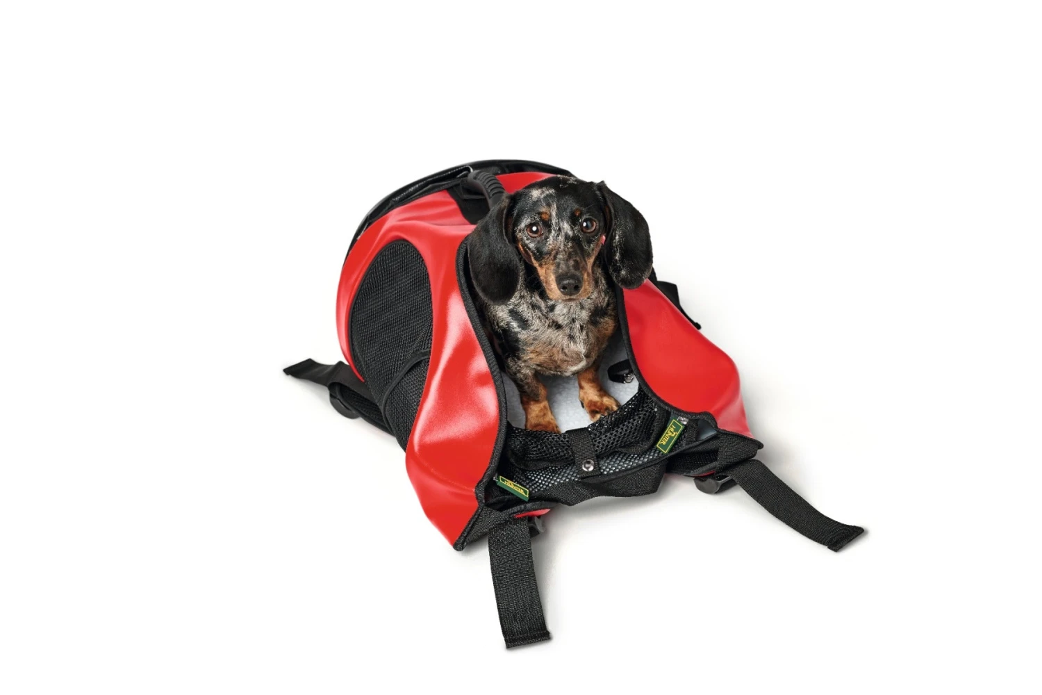 Hunter Pets - Dog Rucksack Carrier Taylor – Red - Image 3