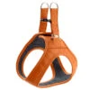 Hunter Hilo Leather Harness – Orange