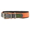 Hunter - Convenience Neoprene Comfort Dog Collar – Neon Orange
