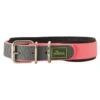 Hunter - Convenience Neoprene Comfort Dog Collar – Neon Pink
