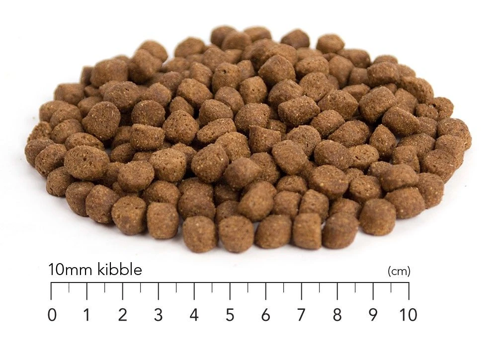 MORE Dog +Support Chicken Small Breeds - Dry Dog Food - Image 2