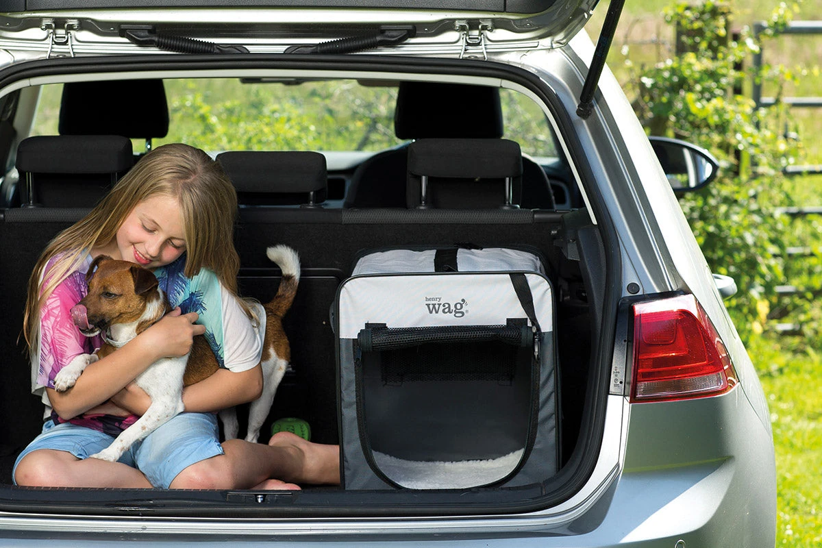 Henry Wag - Folding Fabric Travel Dog Crate - Image 4