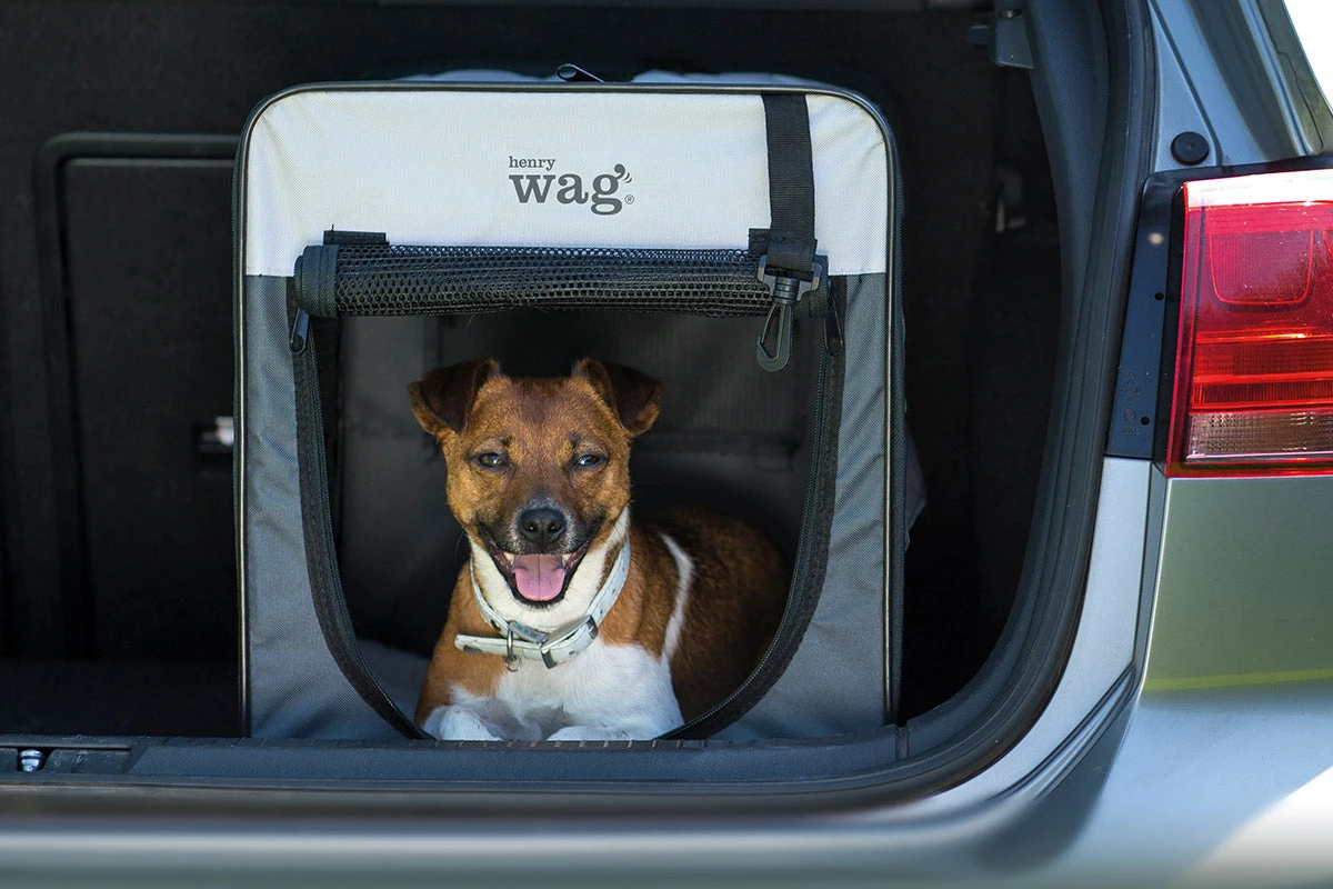 Henry Wag - Folding Fabric Travel Dog Crate - Image 3