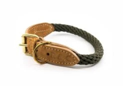 Ralph & Co - Braided Rope Dog Collar