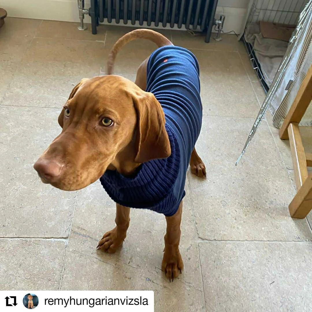 House Of Paws Fleece And Knit Dog Jumper Navy - Image 2