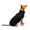 Dog Gone Smart - Olympia Soft Shell Dog Coat - Black