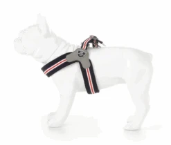 Hugo & Hudson - Red, White & Blue Easy Harness