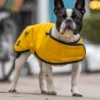 Country & Twee - Yellow Waxed French Bulldog Coat