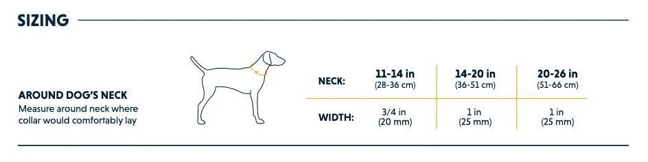 Ruffwear Crag™ Collar - Granite Gray - Image 3