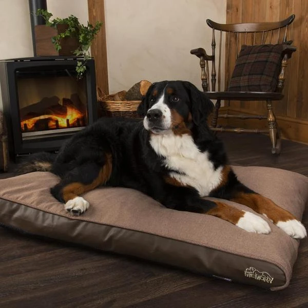Scruffs - Hilton Memory Foam Orthopaedic Dog Mattress - Tan - Image 2