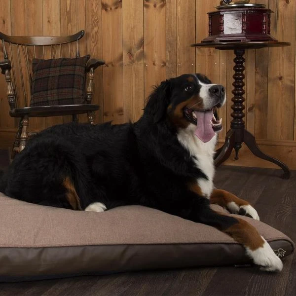 Scruffs - Hilton Memory Foam Orthopaedic Dog Mattress - Tan - Image 3