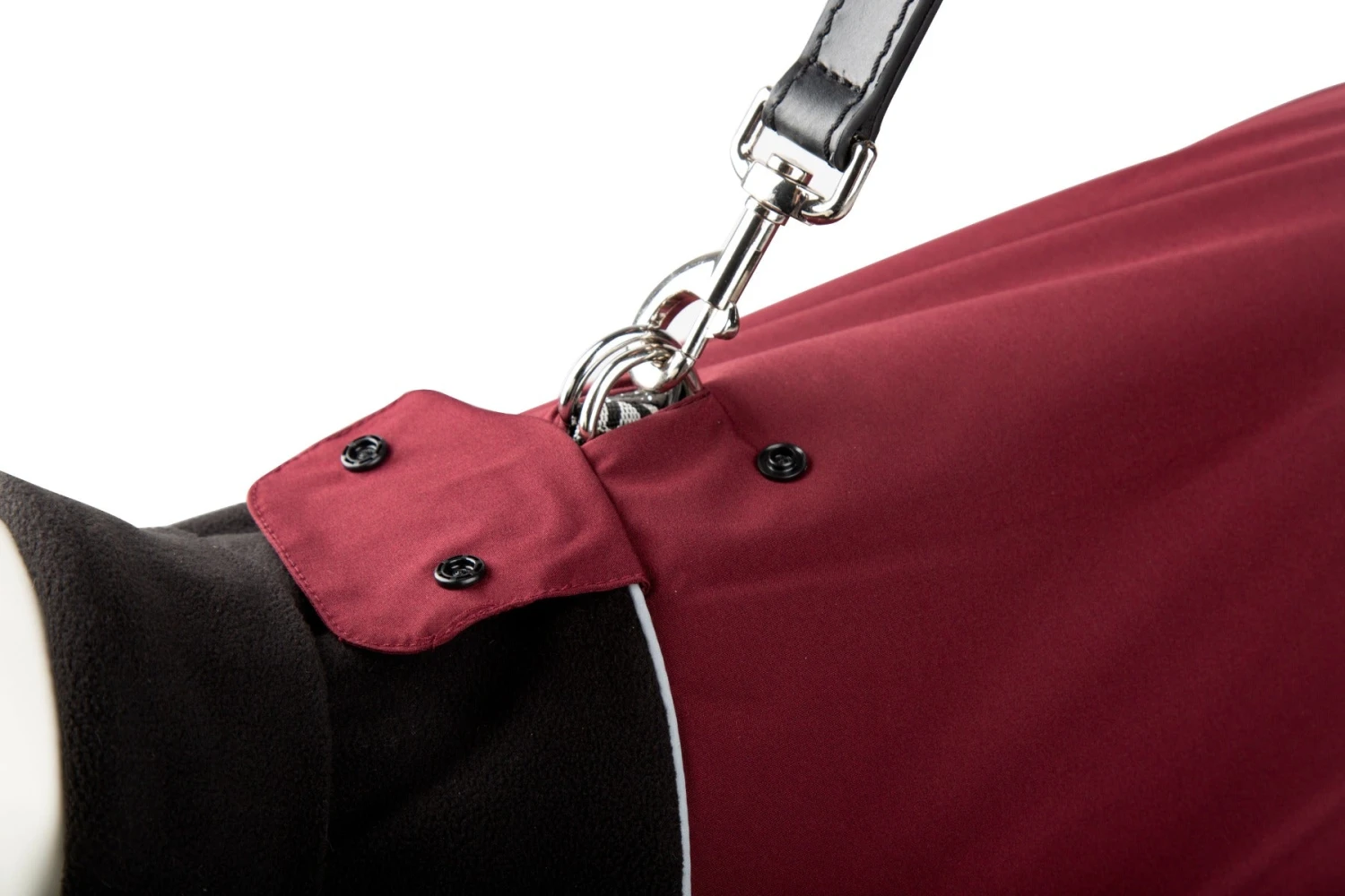 Scruffs - Thermal Self-Heating Dog Coat - Black - Image 5