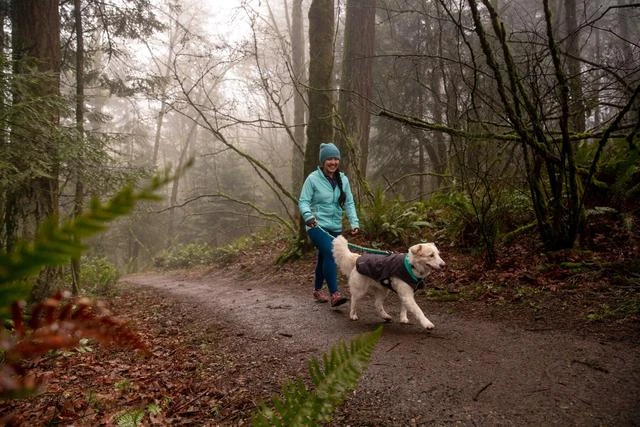 Ruffwear - Stumptown Jacket - Twilight Grey - Image 4