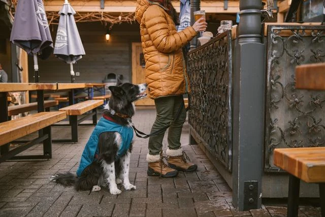 Ruffwear - Stumptown Jacket - Metolius Blue - Image 5