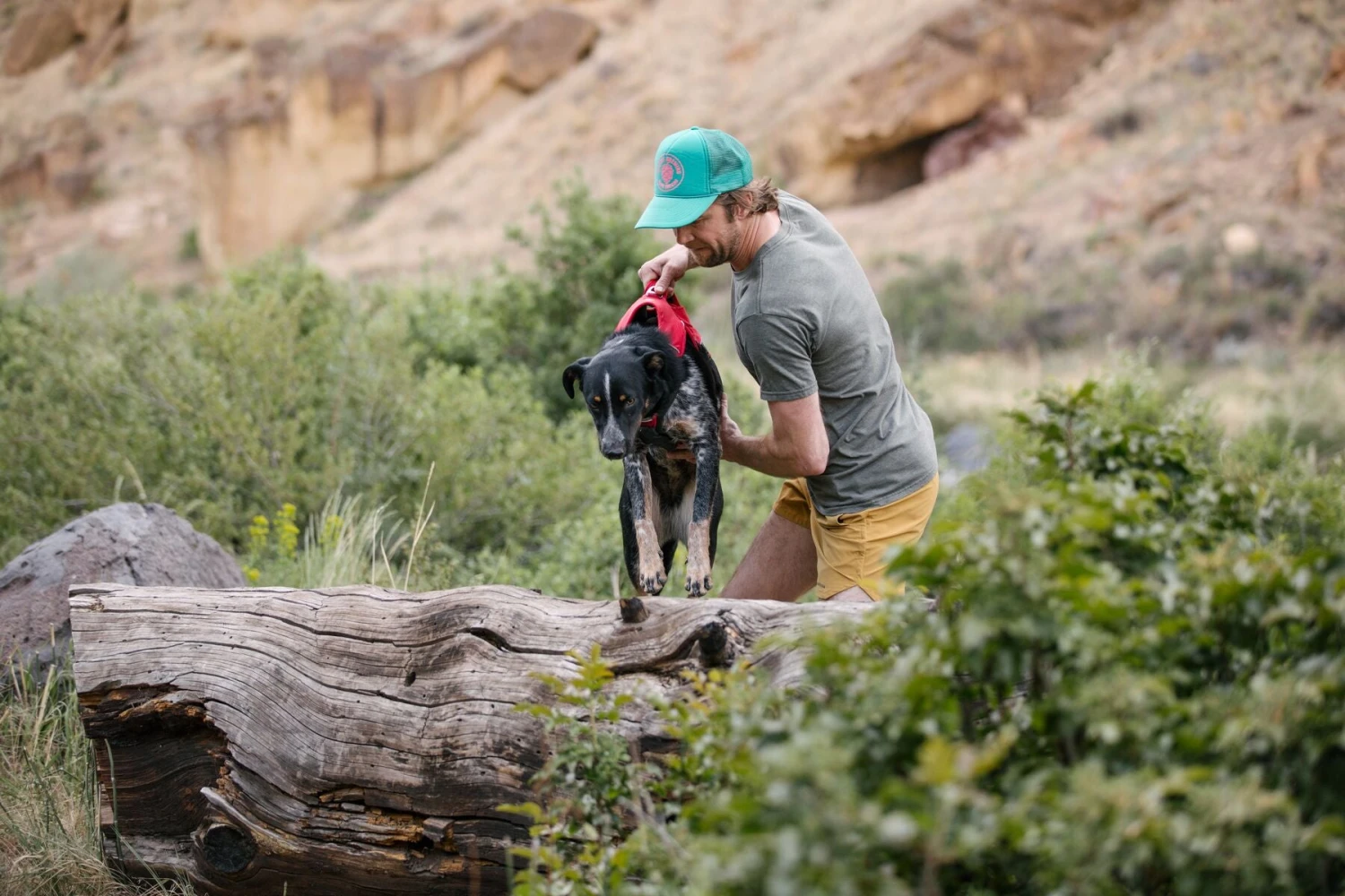 Ruffwear - Web Master Dog Harness - Red - Image 5