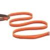 Ruffwear Flat Out Adjustable Dog Lead - Autumn Horizon