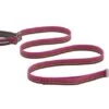 Ruffwear Flat Out Adjustable Dog Lead - Wildflower Horizon