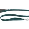 Ruffwear - Front Range™ Lead - Tumalo Teal