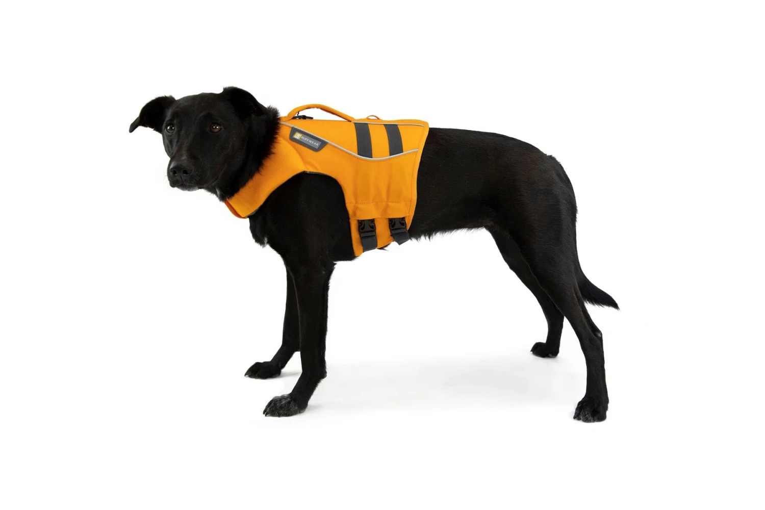 Ruffwear - Float Coatâ„¢ - Dog Life Jacket - Wave Orange - Image 8
