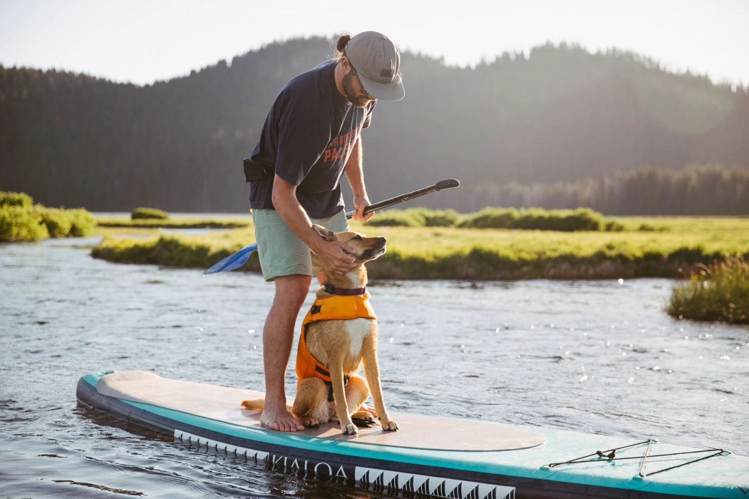 Ruffwear - Float Coatâ„¢ - Dog Life Jacket - Wave Orange - Image 12