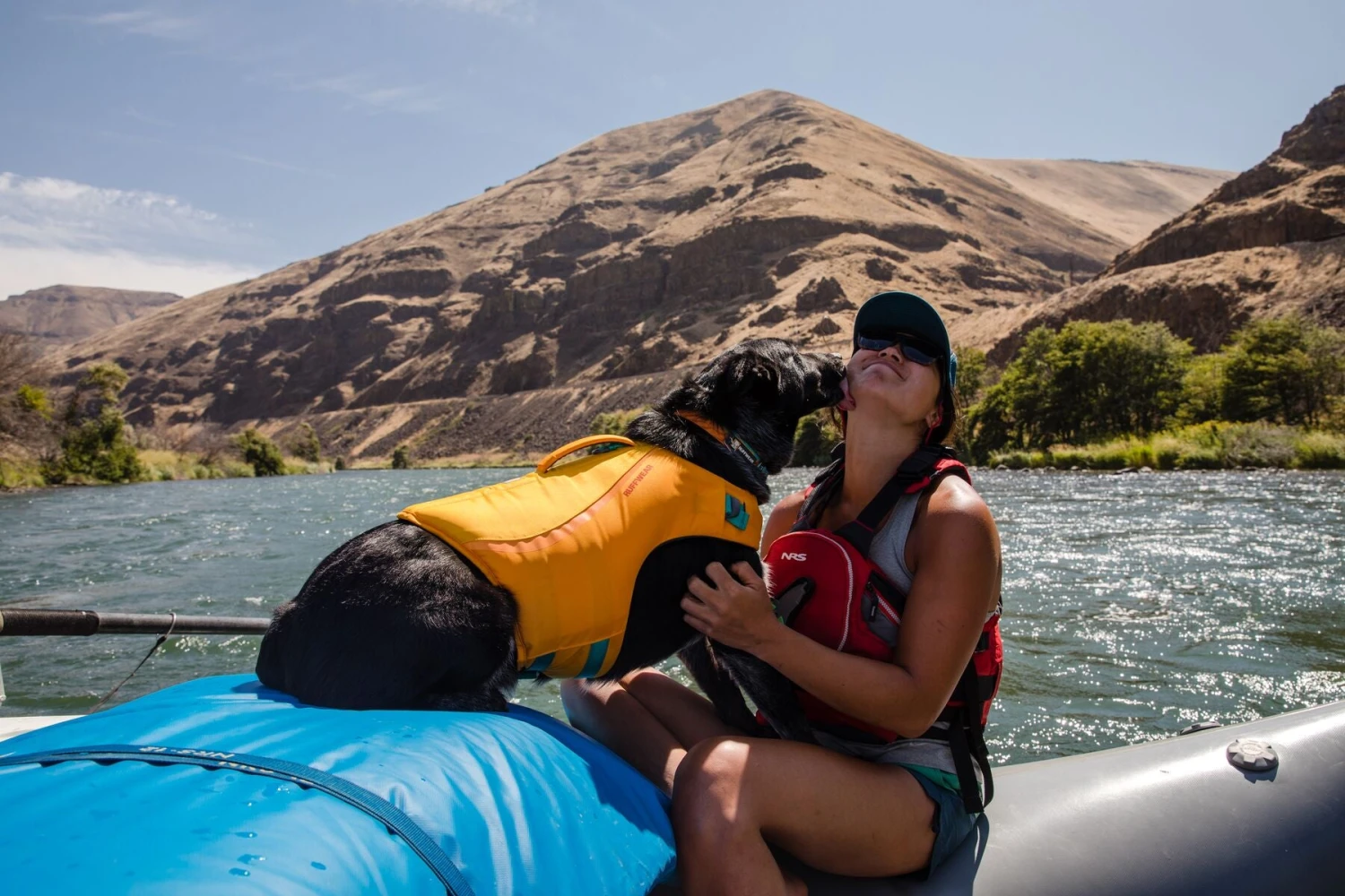 Ruffwear - Float Coatâ„¢ - Dog Life Jacket - Wave Orange - Image 9