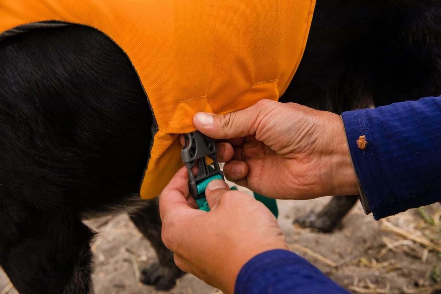 Ruffwear - Float Coatâ„¢ - Dog Life Jacket - Wave Orange - Image 10