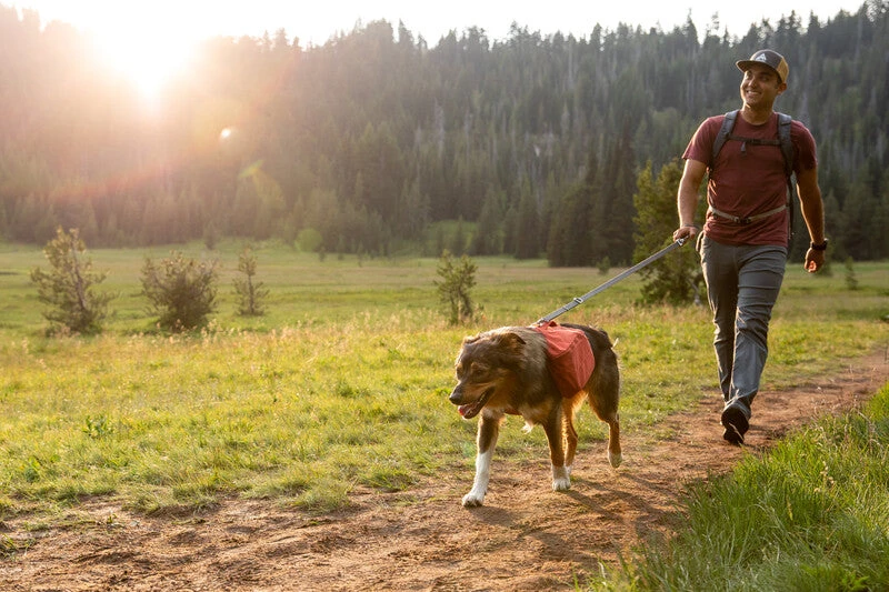 Ruffwear - Switchbak Lead Granite Gray - Image 7