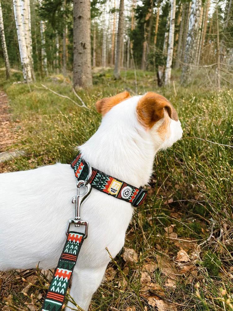 Woolly Wolf - Woodland Dog Collar - Image 4