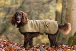 Country & Twee - Green Tweed Dog Coat
